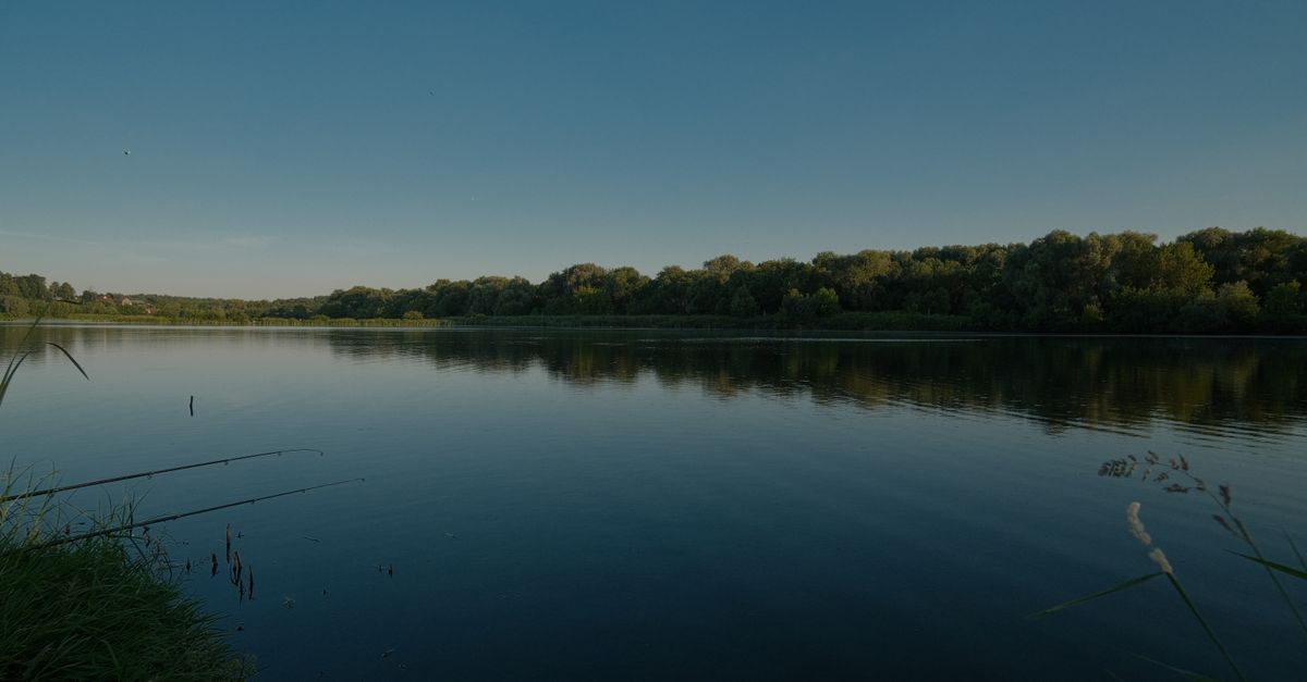 A calm and serene sunrise over a peaceful landscape with soft light illuminating a quiet forest and a gentle river, symbolizing tranquility and the preciousness of life.